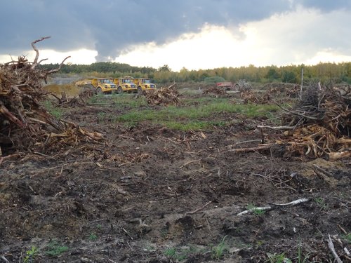 Figure 10. Excavation works and felled trees along the road between Mulkwitz and Rohne during the expansion of the Nochten open-cast lignite mine. Photo: Giustina Selvelli.