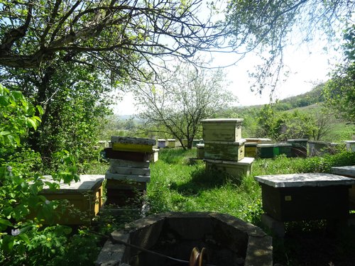 Figure 6. Beehives near the village of Oštrelj (Bor region, eastern Serbia), in the proximity of the open-cast mine. Photo: Giustina Selvelli.
